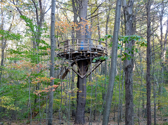 S-Tree-House--October-09