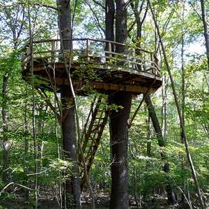 Documentary Photos: Tree house at Albers foundation, Connecticut USA, 2009.